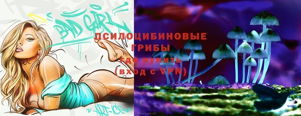 a pvp Белокуриха