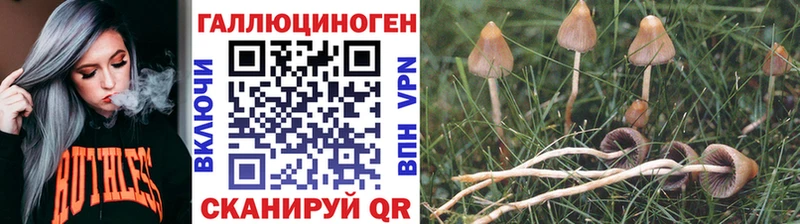 Галлюциногенные грибы Magic Shrooms Светлый